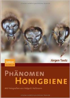 Buch Phänomen Honigbiene