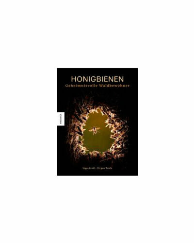 Honigbienen – geheimnisvolle Waldbewohner