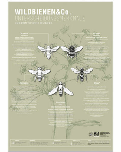 Wildbienen & Co. – das Plakat (Wildbienenhelfer)