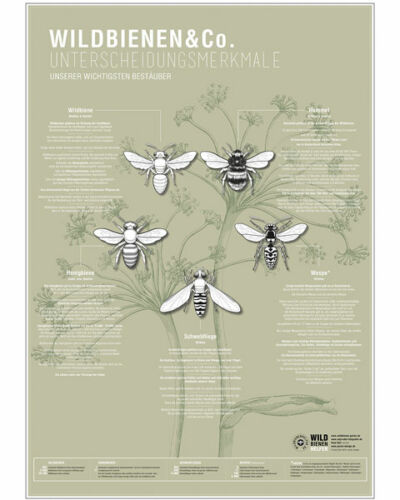 Wildbienen & Co. – das Plakat (Wildbienenhelfer)