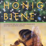 honig_biene_02