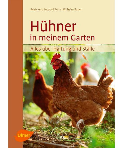 Hühner in meinem Garten