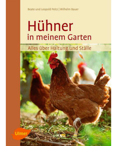 Hühner in meinem Garten