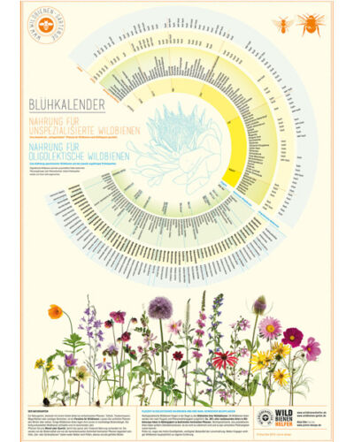 Blühkalender – das Plakat (Wildbienenhelfer)