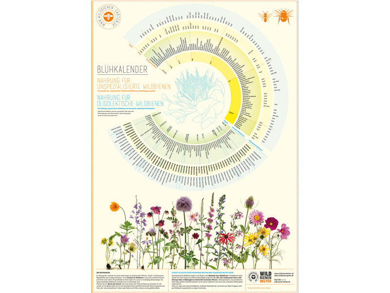 Blühkalender – das Plakat (Wildbienenhelfer)