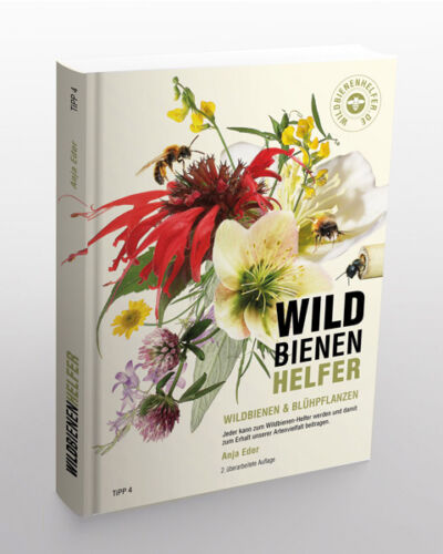 Buch Wildbienenhelfer