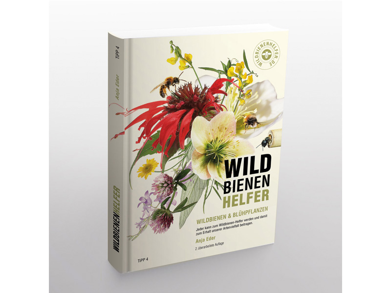 Buch Wildbienenhelfer