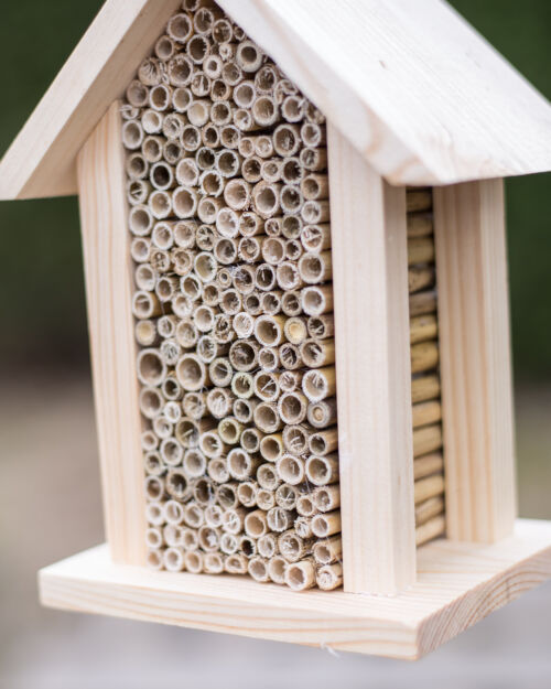 Nisthilfe für Wildbienen