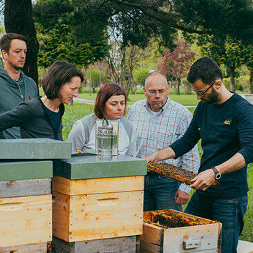 bienen_standort_kommunalfriedhof2