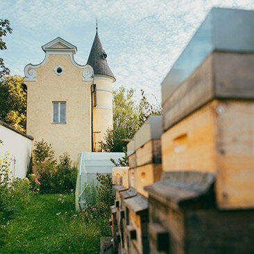 bienen_standort_moenchsberg2