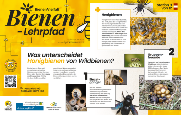 Bienen-Lehrpfad Bienen-Lehrpfad