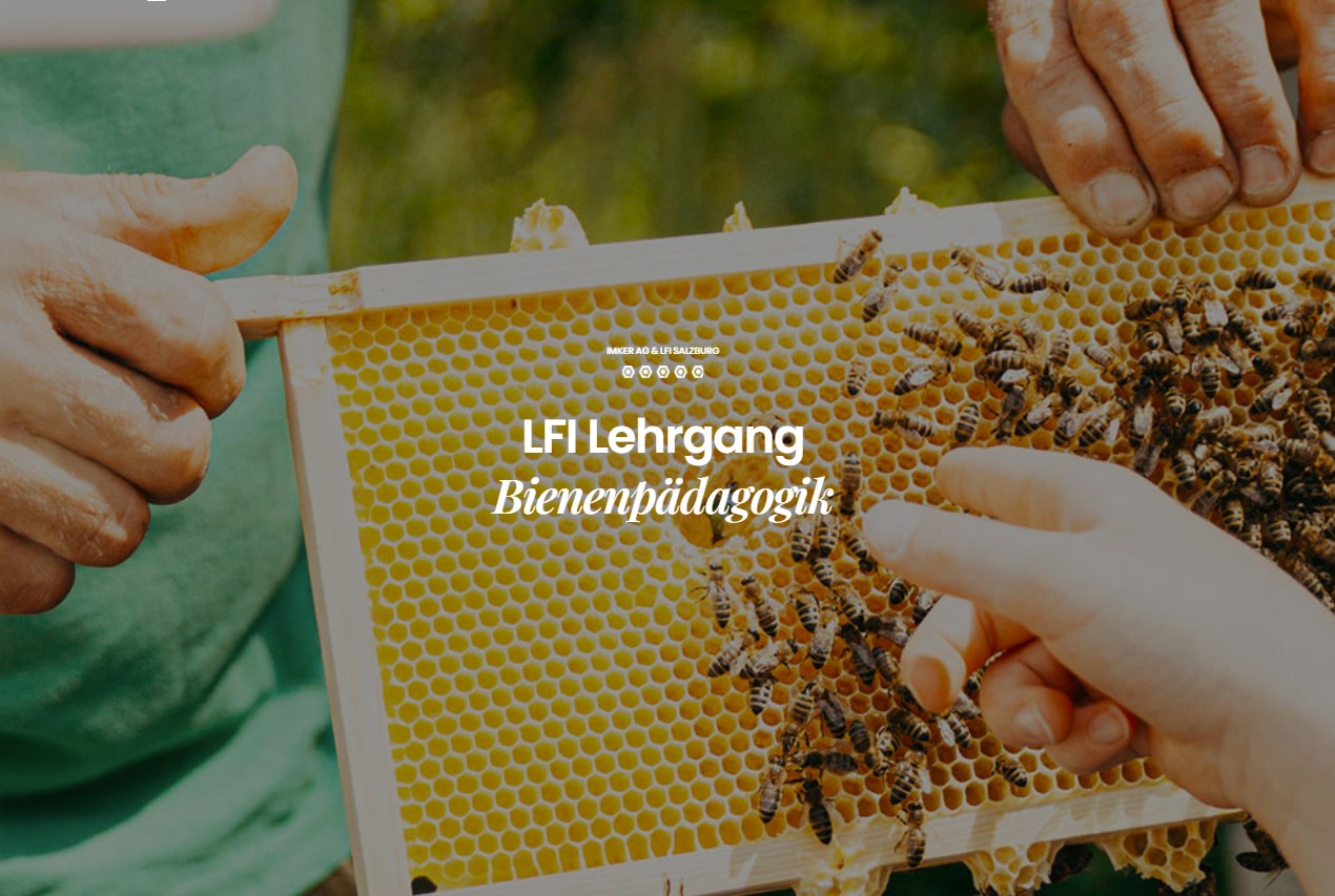 Zertifikatslehrgang Bienenpädagogik