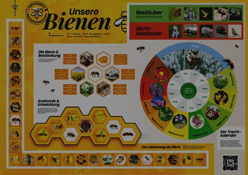 Bienenpaedagogik-Plakat Poster Bienenpädagogik - Lernspiele zu Bienen und Bestäubung