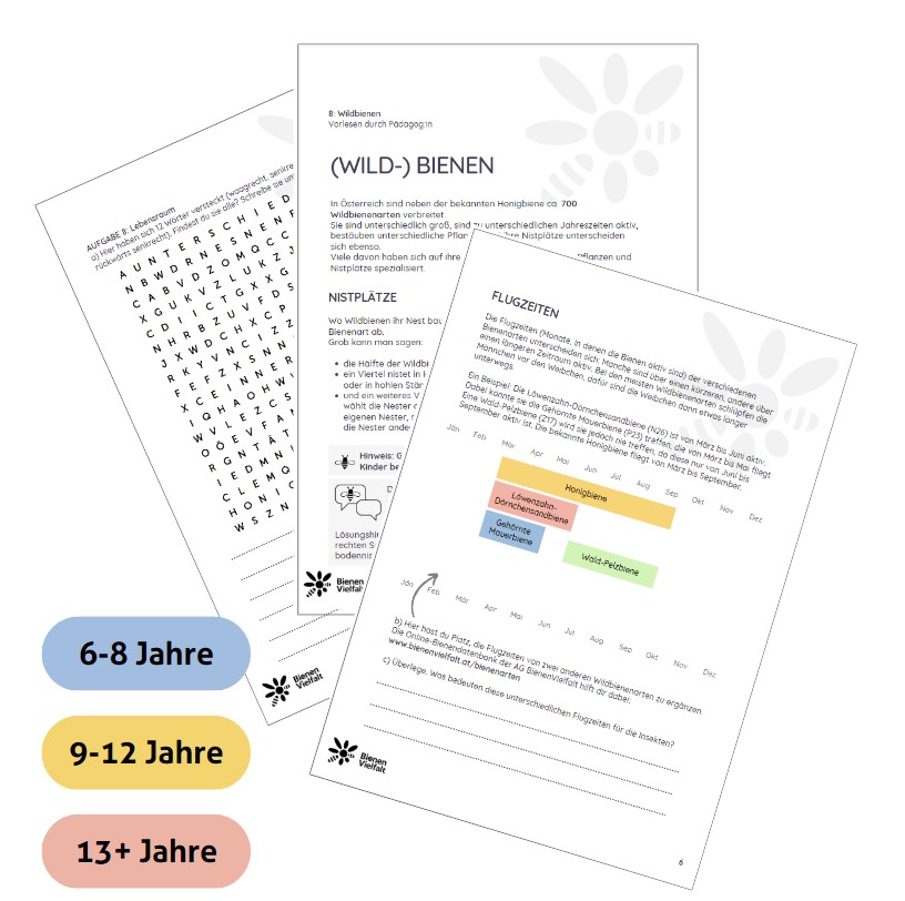 Lehrunterlagen-Wimmelbild Lehrmaterialien BienenVielfalt | Bildungsangebote Bienenlieb