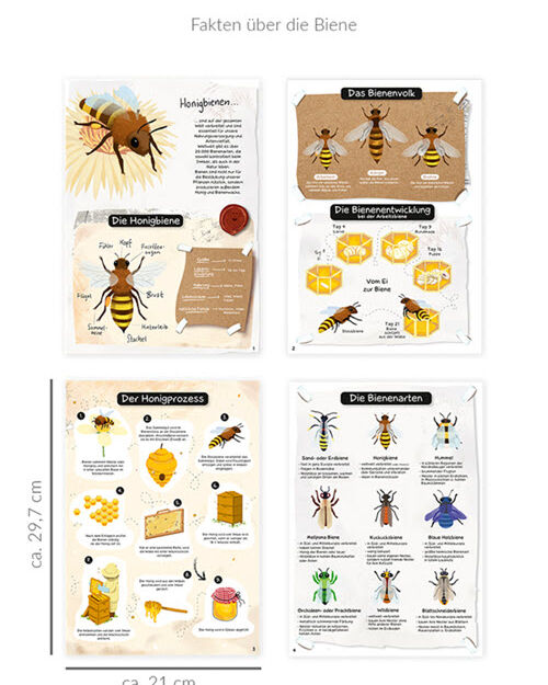 Lernheft Meine Bienenwelt