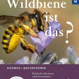 Welche Wildbiene ist das?