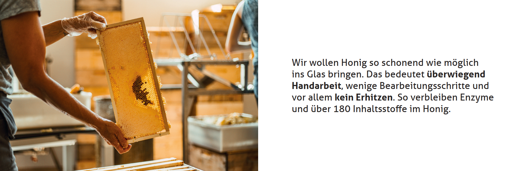 Slide_13