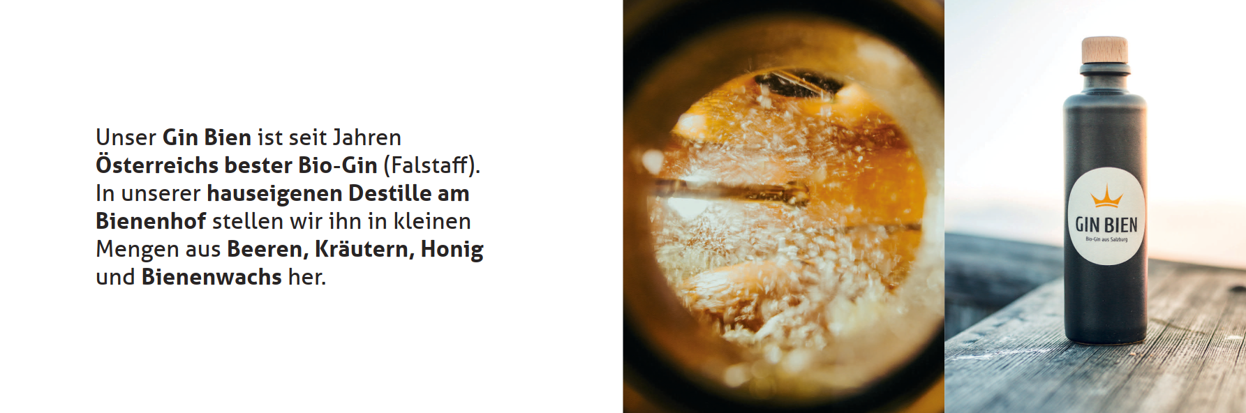 Slide_17
