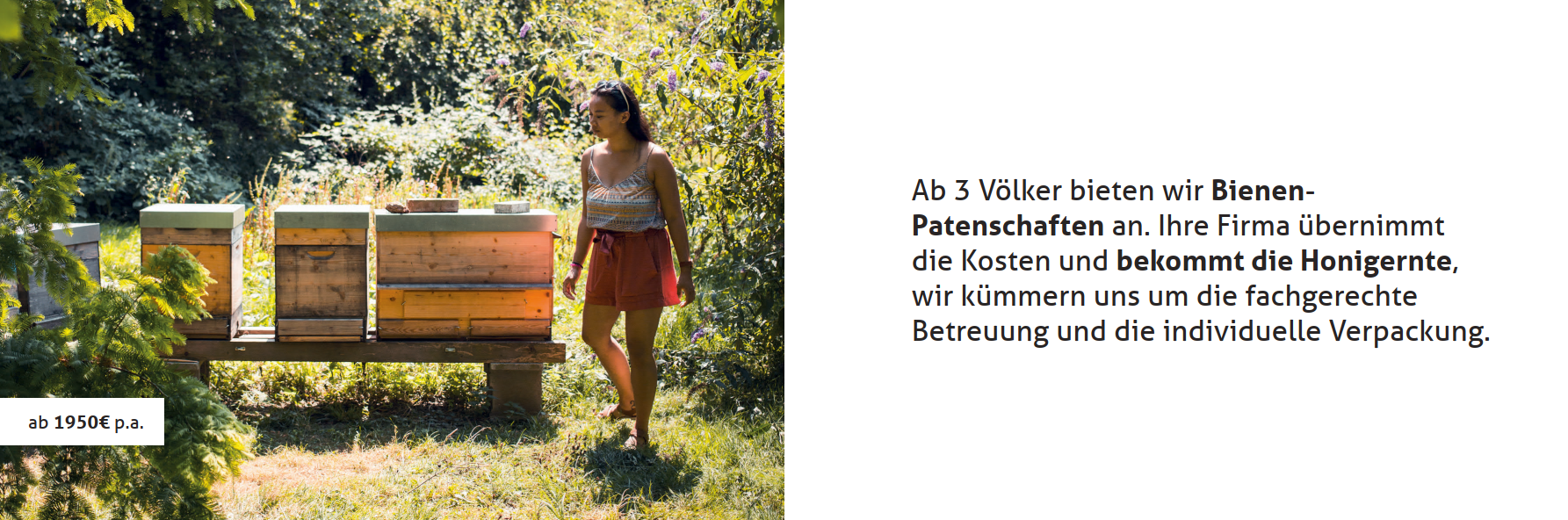 Slide_20