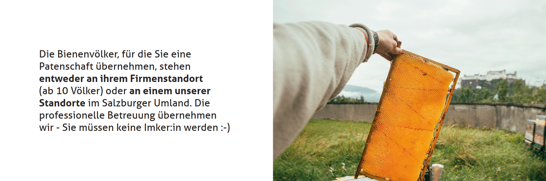 Slide_24