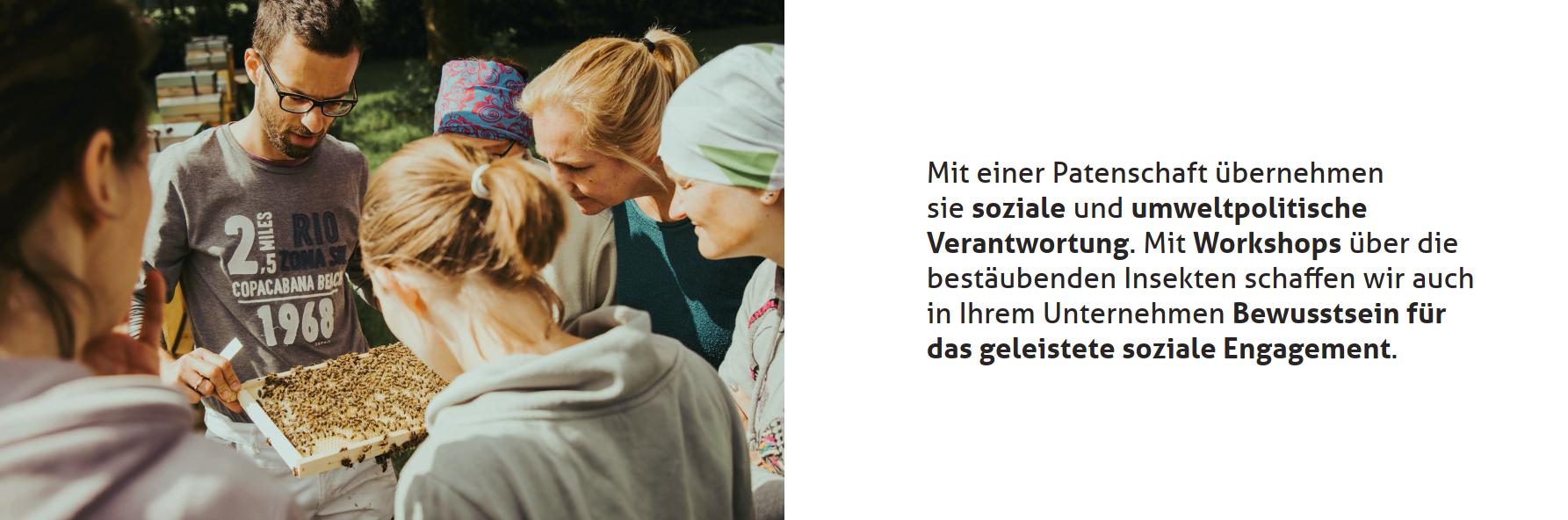 Slide_25