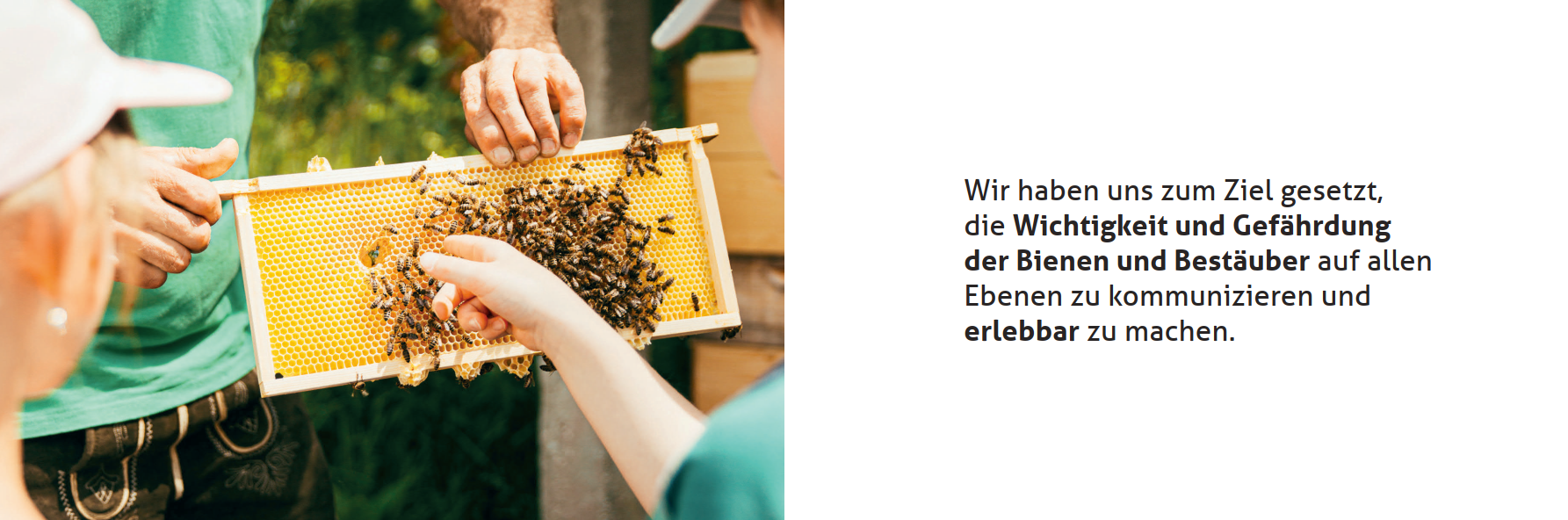 Slide_3
