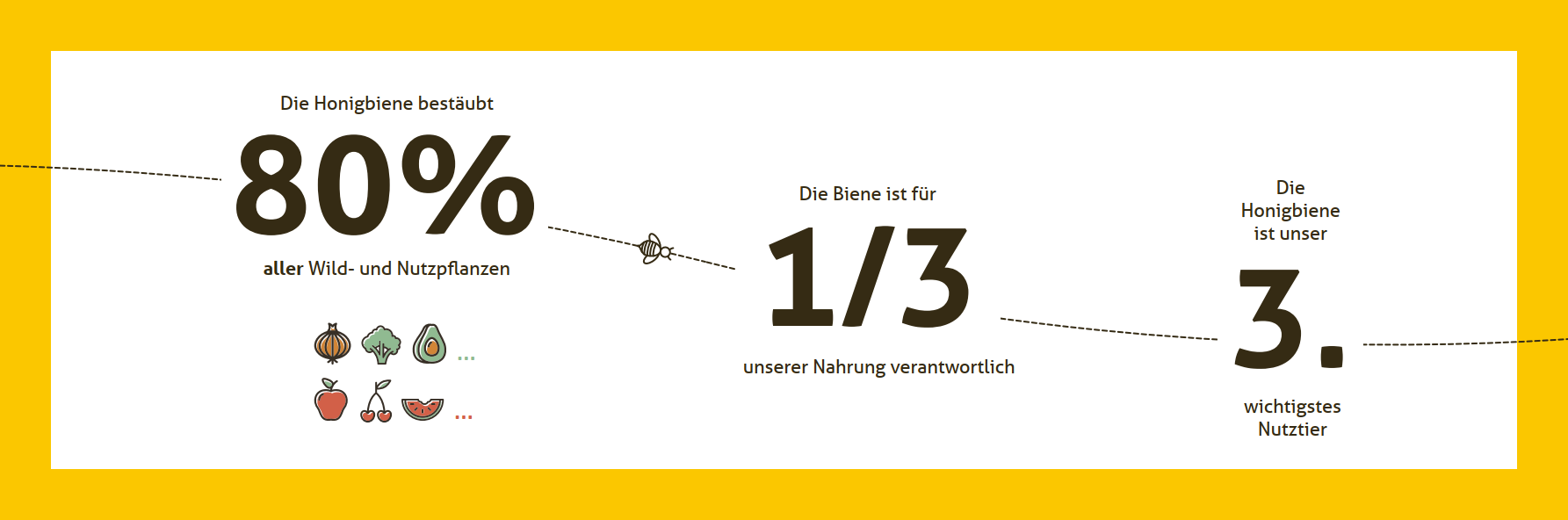 Slide_4