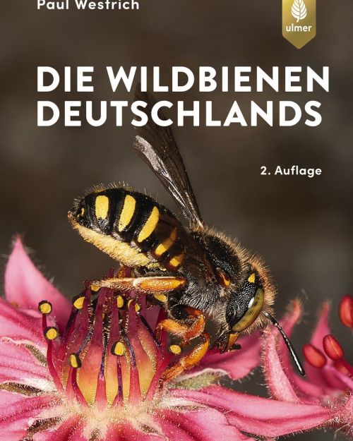 Buch Die Wildbienen Deutschlands