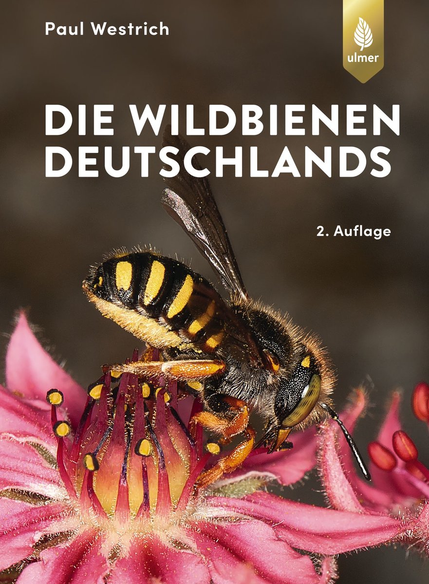 Buch Die Wildbienen Deutschlands