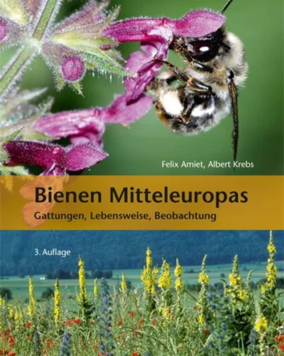 Buch Bienen Mitteleuropas