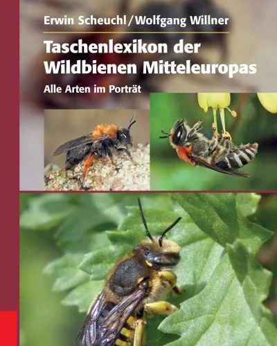 Buch Taschenlexikon der Wildbienen Mitteleuropas