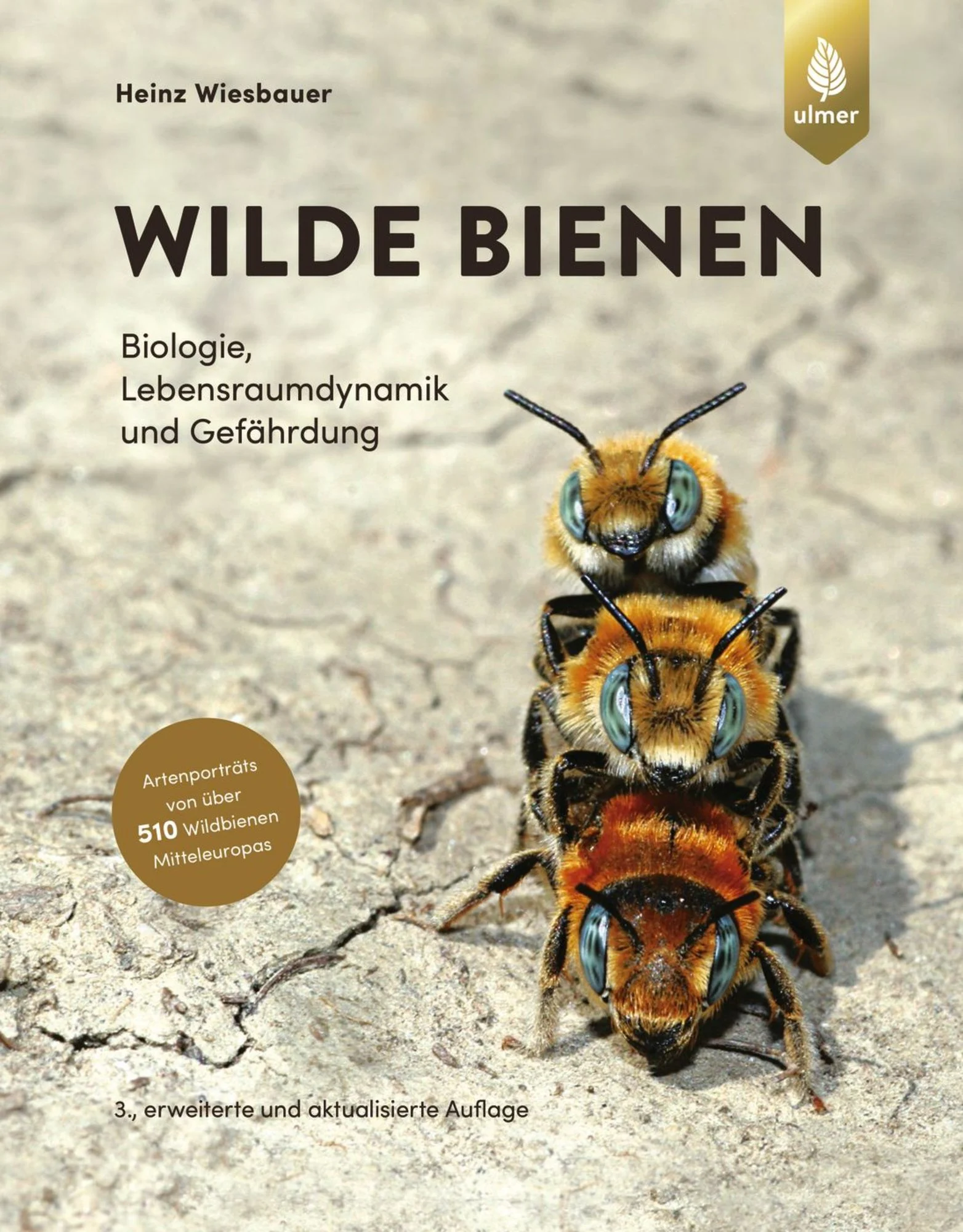 Buch Wilde Bienen