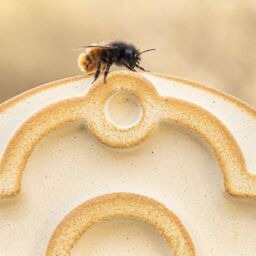 Wildbienenhaus Denk Keramik