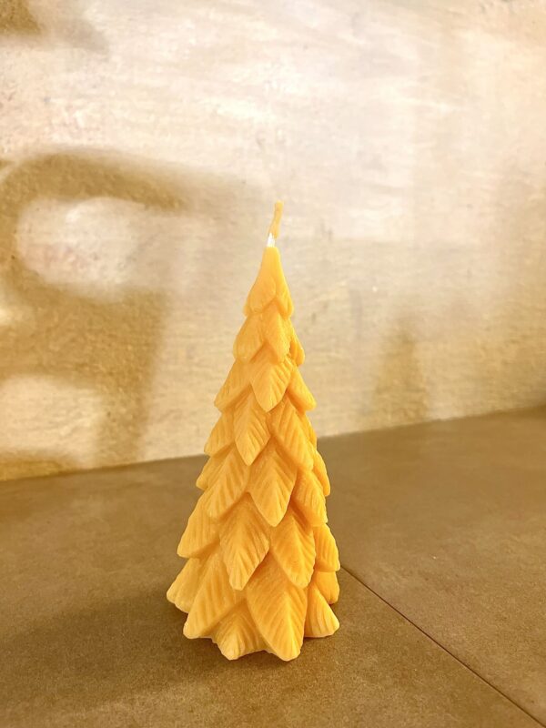 Weihnachtskerze Tanne