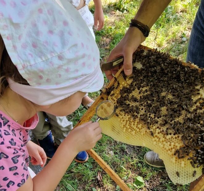 Bienen_Kinder_Workshop2