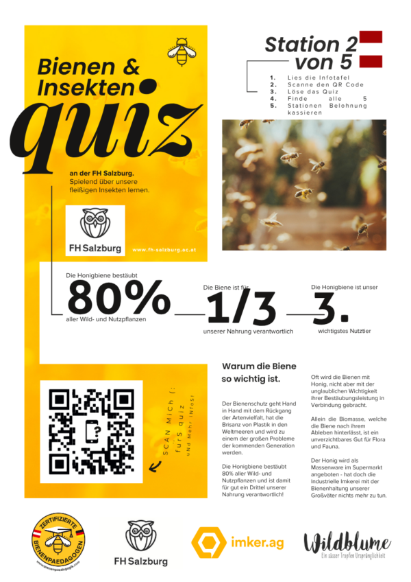 Rätselrunde 5 Stationen