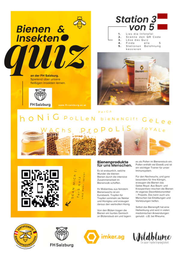 Rätselrunde 5 Stationen