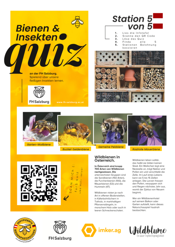 Rätselrunde 5 Stationen