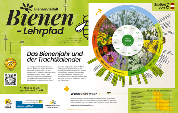 Bienen-Lehrpfad