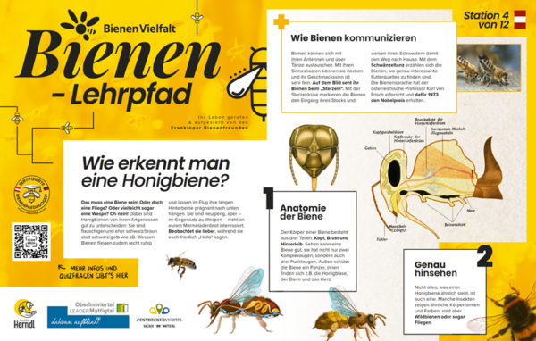 Bienen-Lehrpfad