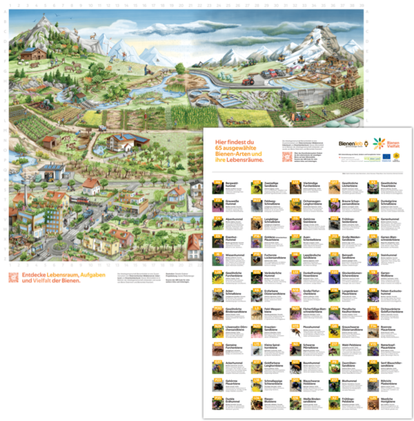 Wimmelbild Bienenvielfalt (Papier)